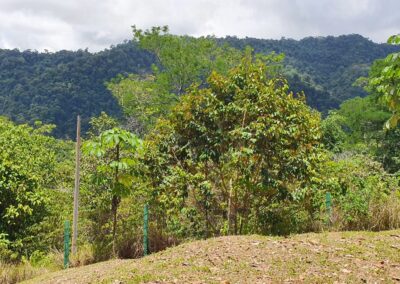 Ocean View Lot In Uvita 6