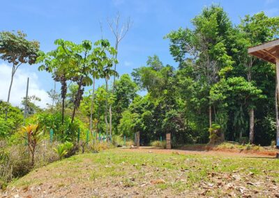 Ocean View Lot In Uvita 4