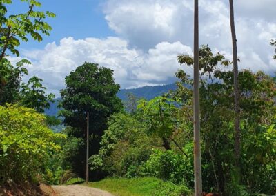 Way To Ocean View Lot In Uvita