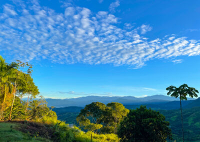 Casa De Luz Mountain Jungle View