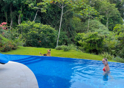 Casa De Luz Pool With Dog