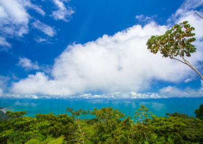 Ocean And Whale's Tale View Over Jungle Casa De Luz