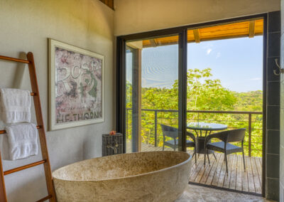 Luxury Home Bath View (2)