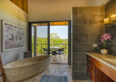 Luxury Home Bath View