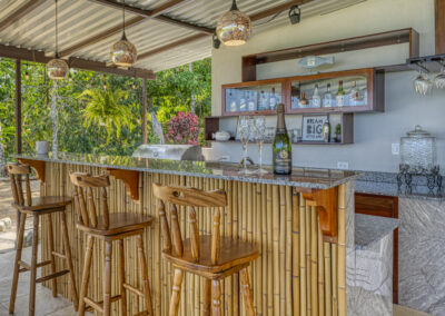 Luxury Home Outdoor Bar